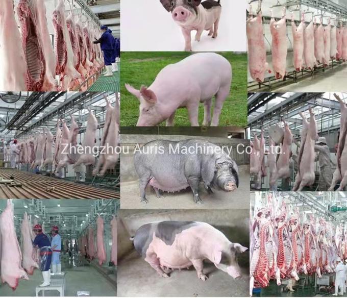 ブタの食肉処理場のための装置を取除く商業使用ブタの虐殺ライン ポーク処理機械ブタの毛は機械を除毛する